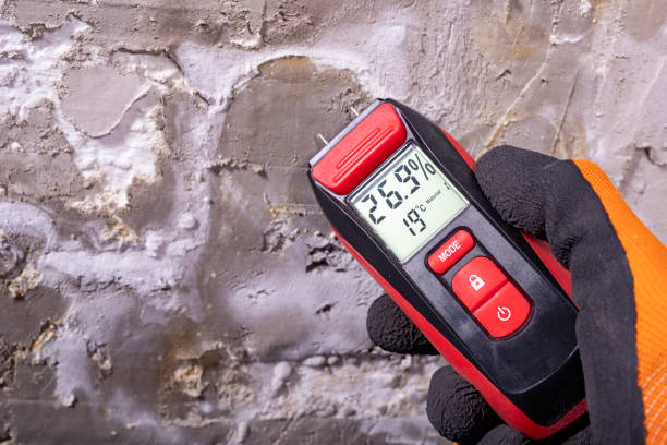 Mold Removal Process in Blountville, TN